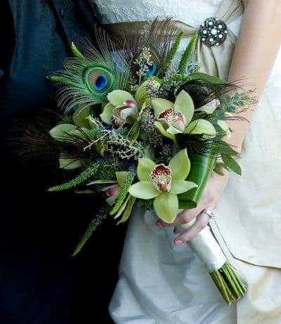 ideas for peacock feather wedding